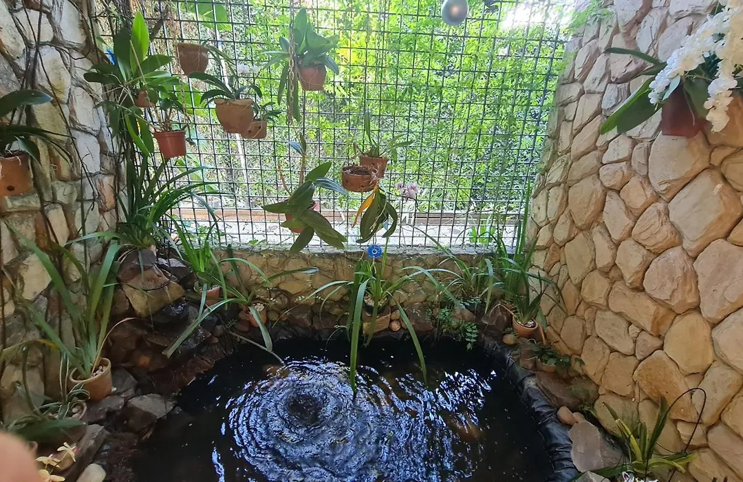 Pousada Palmeira Imperial-1